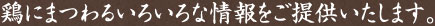 鶏にまつわるいろいろな情報をご提供いたします。